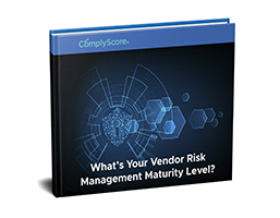 Vendor Risk Management Maturity Level